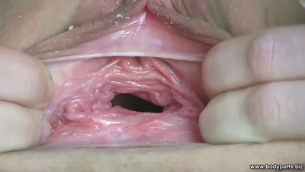 乳腺癌症的路的巴尔博亚附近的猫拇指指甲刀的商务卡片